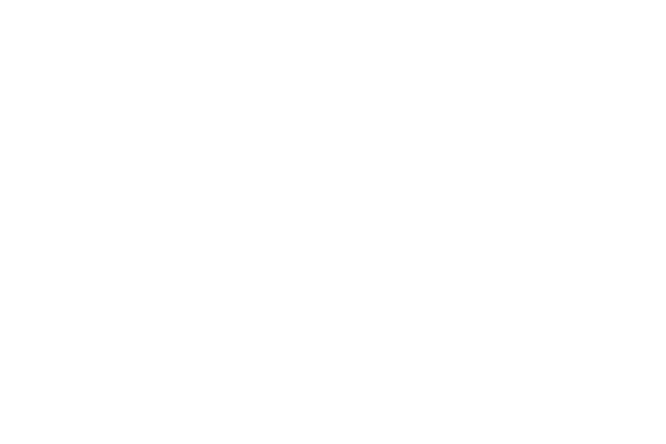 Five Star Basketball & Dr. Dish Basketball