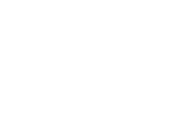 Sports Illustrated & Dr. Dish Basketball